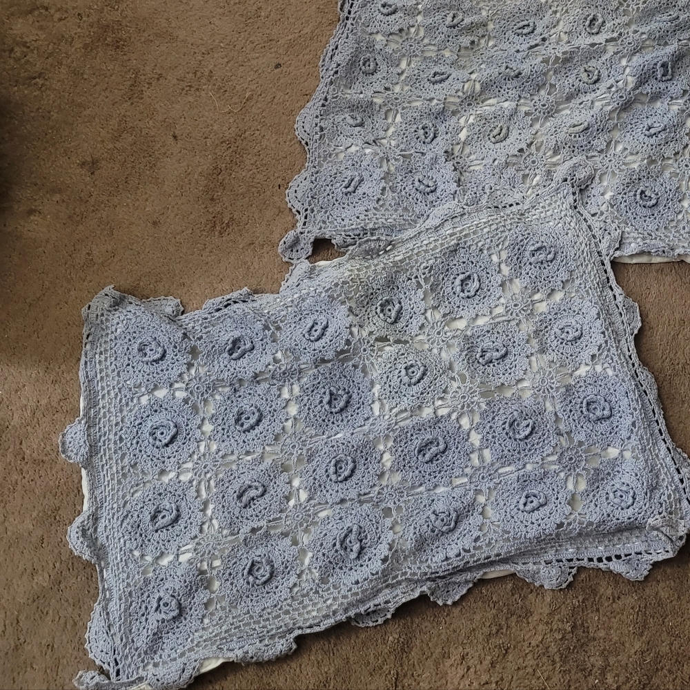 Decorative Pillow Covers (2)